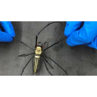 Promo-YouTube-YouTube thumbnail size.jpeg